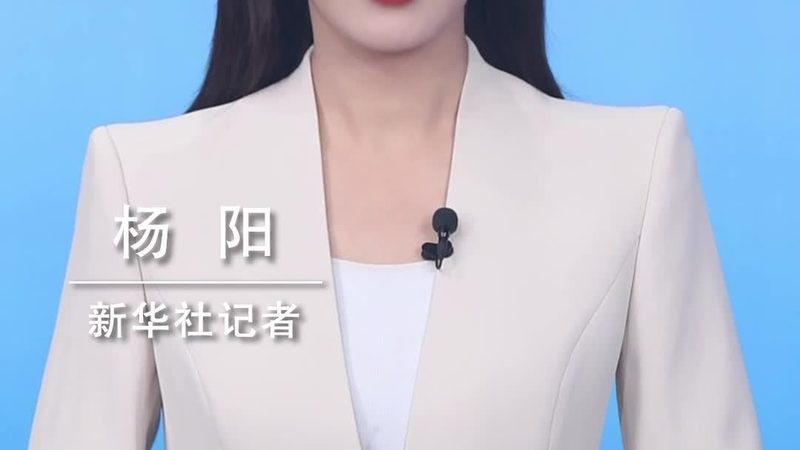 智能客服系统：如何从十大品牌中挑选合适方案
